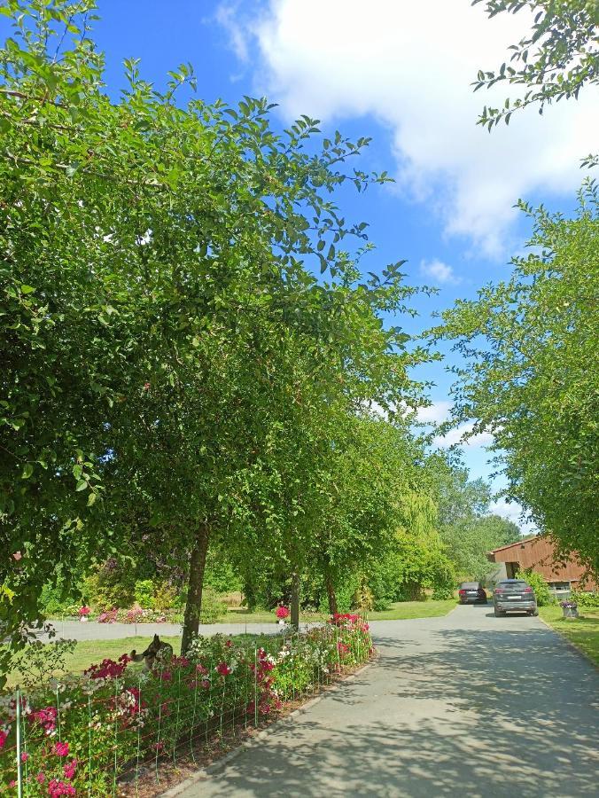 Les Chambres Du Vert Galant Rez De Jardin Verlinghem Kültér fotó