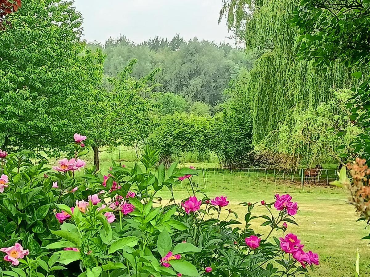 Les Chambres Du Vert Galant Rez De Jardin Verlinghem Kültér fotó