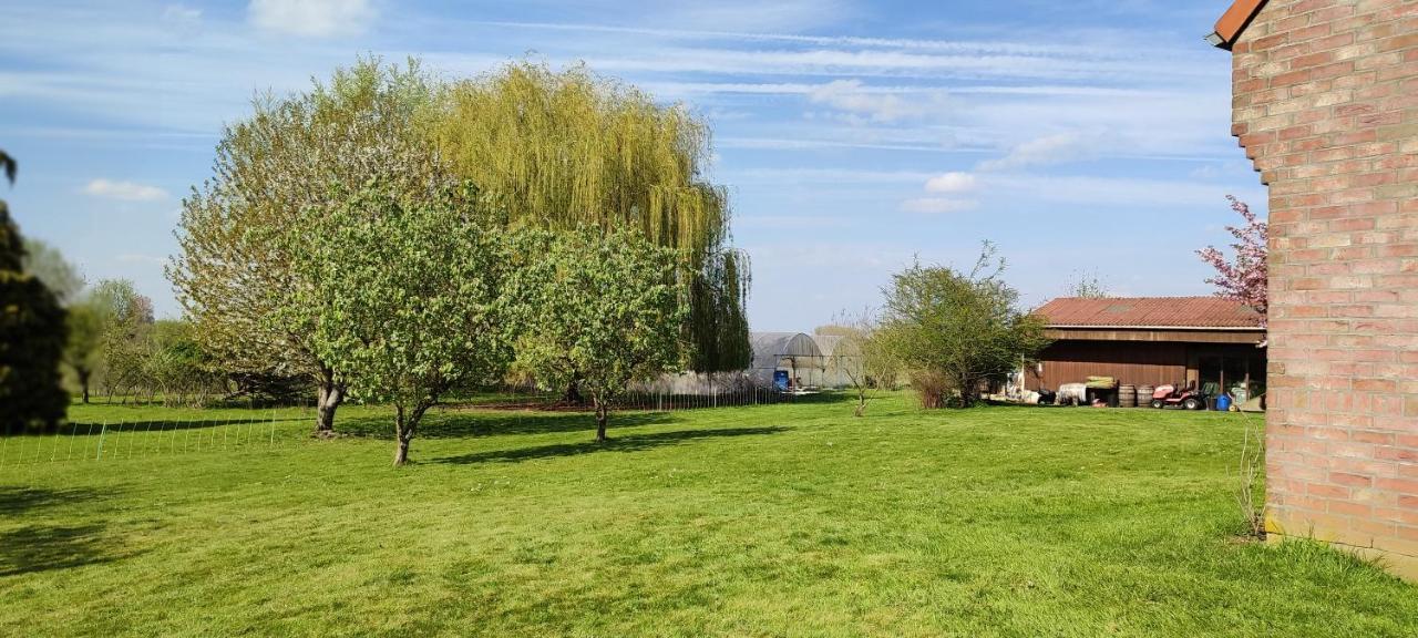 Les Chambres Du Vert Galant Rez De Jardin Verlinghem Kültér fotó