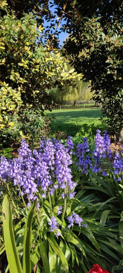 Les Chambres Du Vert Galant Rez De Jardin Verlinghem Kültér fotó